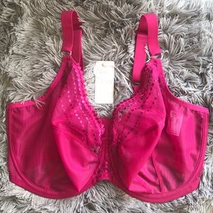 Elomi Matilda Bra in Berry 38K US / 38H UK